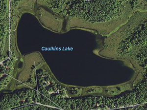 Caulkins Lake Homes and Land for Sale